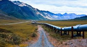 /approfondimenti/trump-svende-alle-compagnie-petrolifere-un-area-protetta-dell-alaska