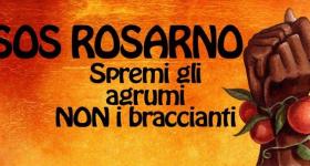 /articoli/diritti/al-cinema-astra-tornano-le-arance-sos-rosarno